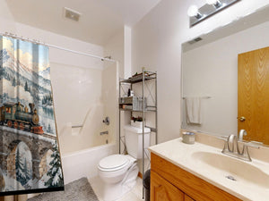 Winter Train shower curtain on a tub shower combo in an American family bathroom