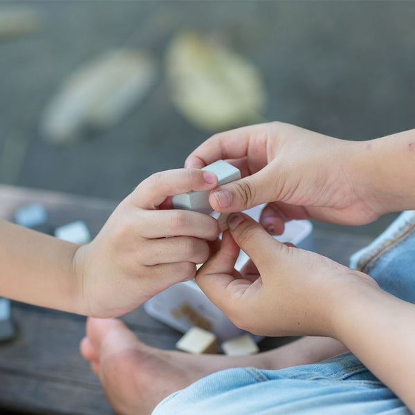 Construction Set - PlanMini