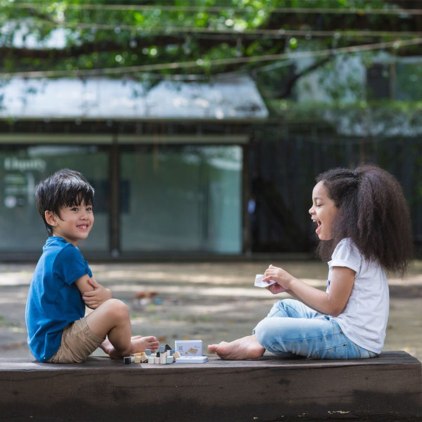 Construction Set - PlanMini