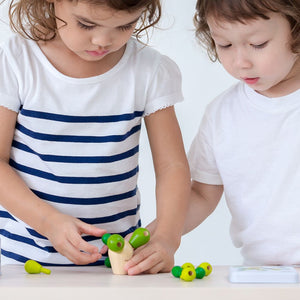 Mini Balancing Cactus