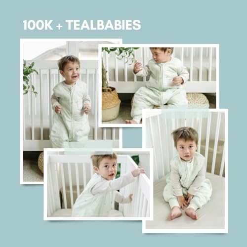 Dreamsuit | Seashell
