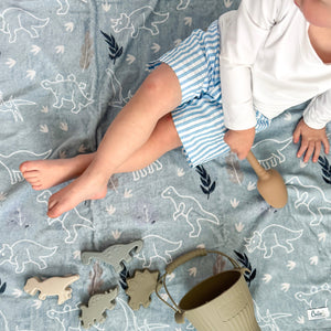 Dominic’s Dinos Silicone Beach Toy Set