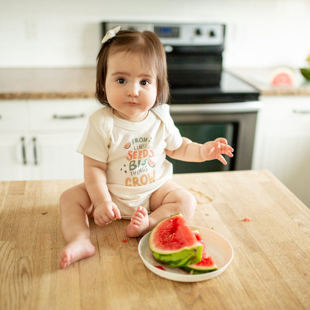 Graphic short sleeve bodysuit from Little Seeds for babies, featuring playful designs and soft fabric.