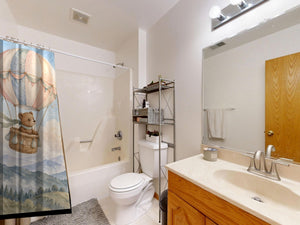 Bear Hot Air Balloon shower curtain on a tub shower combo in an American family bathroom