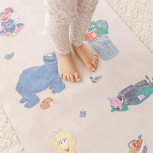 Sesame Street Adventure Bundle