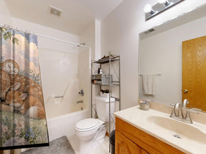 Dreamland Friends shower curtain on a tub shower combo in an American family bathroom