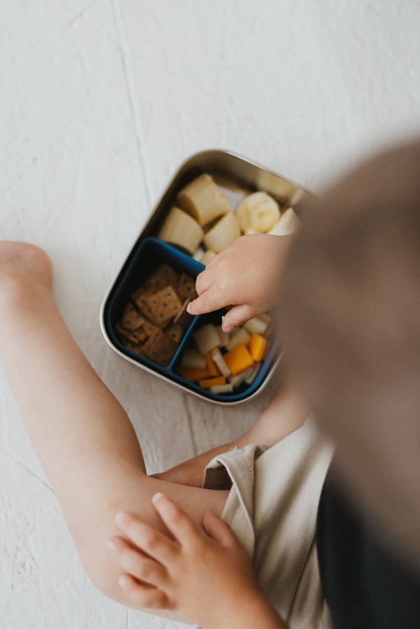 Stainless steel and silicone bento box for babies, perfect for food storage and on-the-go meals.