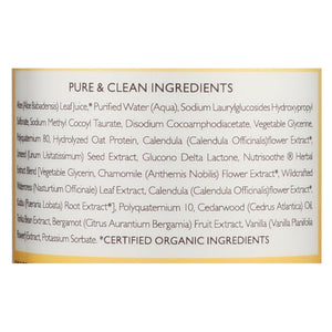 Babo Botanicals Baby Shampoo and Wash: Gentle Oatmeal Goodness (16 Oz)