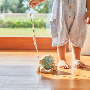 Pull-Along Hedgehog - Blue