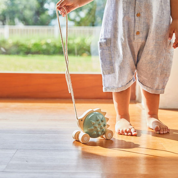 Pull-Along Hedgehog - Blue