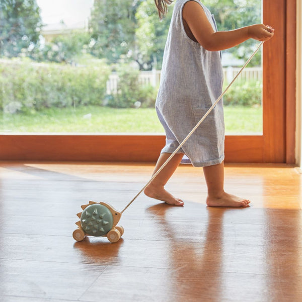 Pull-Along Hedgehog - Blue