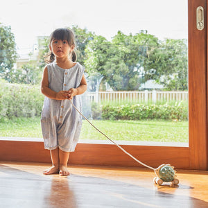 Pull-Along Hedgehog - Blue