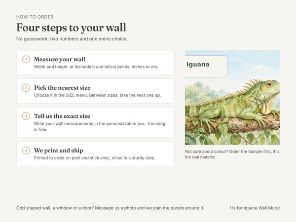 Watercolor I is for Iguana Alphabet Wall Mural, image 6