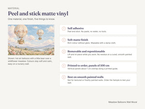 Watercolor Meadow Hot Air Balloons Wall Mural, image 7