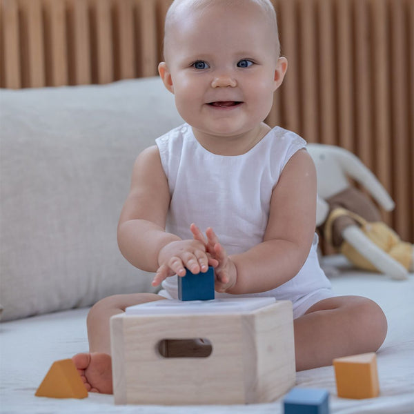 Shape & Sort It Out - Orchard