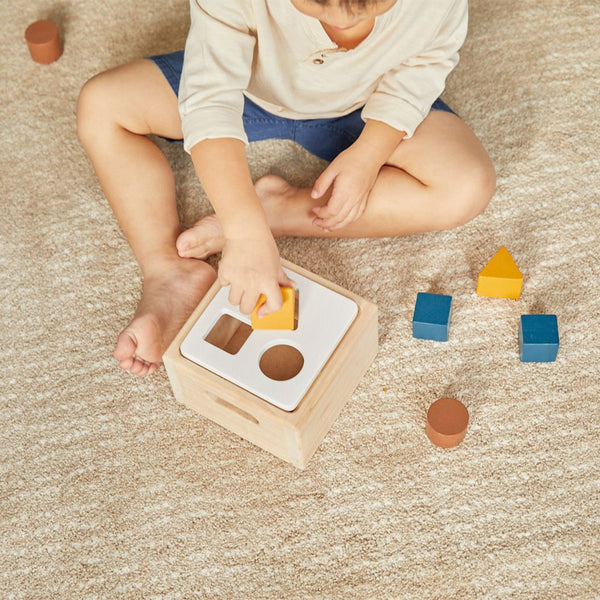 Shape & Sort It Out - Orchard