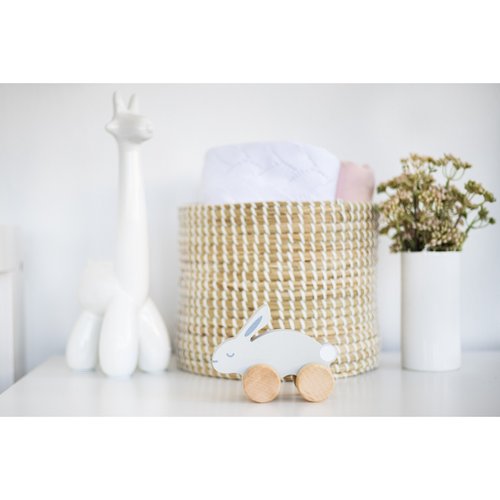 Wooden Bunny Push Toy