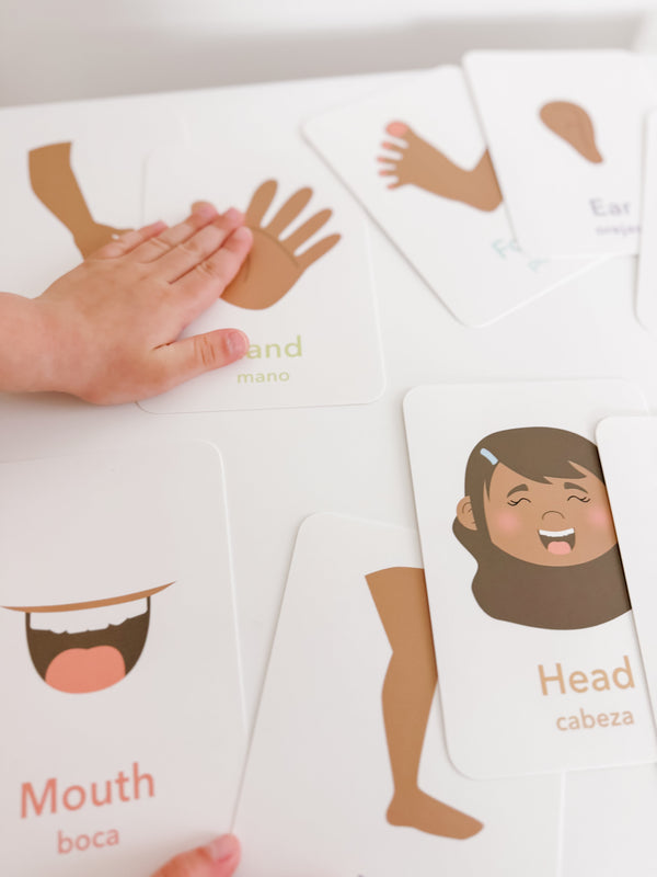 "Colorful body parts flashcards for early learning and sensory play, displayed at an angle."
