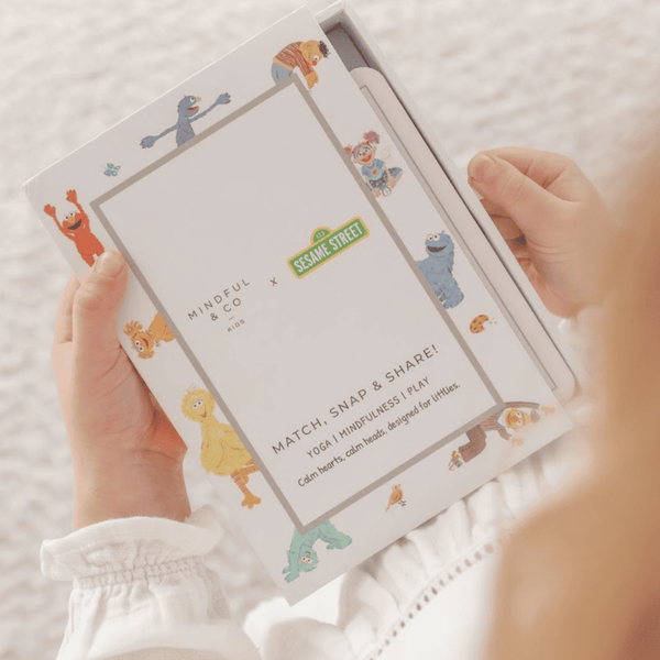 Sesame Street 3-in-1 Card Game