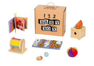 Montessori Educational Box (5-6 Months)