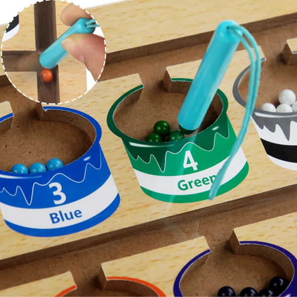 Educational Magnetic Maze