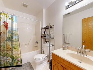 Chicks Field Farm shower curtain on a tub shower combo in an American family bathroom