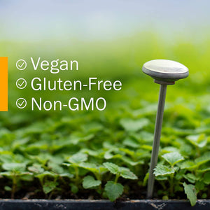 Herb Pharm Kids Ear Mullein Garlic Oil - Natural Earache Relief for Children - 1 Fl Oz