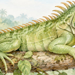 I is for Iguana Alphabet shower curtain, close up of the watercolor artwork