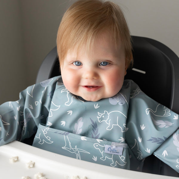 The Grayson Long Sleeve Bib - Dino