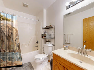 Elephant Family Safari shower curtain on a tub shower combo in an American family bathroom