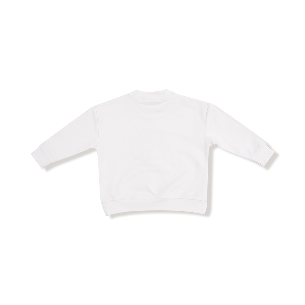 Halloween Tutus and Tops - Little Pumpkin Drop Sleeve Sweatshirt