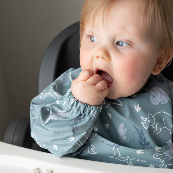 The Grayson Long Sleeve Bib - Dino