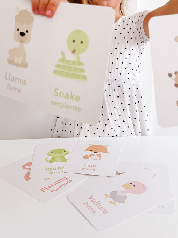 Desert Animal Flashcards