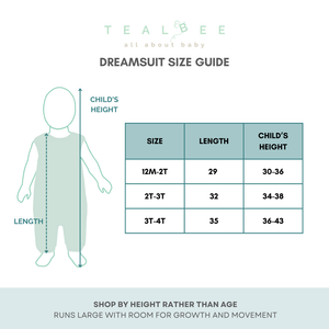 Dreamsuit | Dash