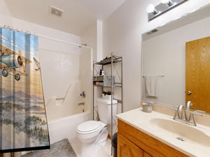 Birds and Biplane shower curtain on a tub shower combo in an American family bathroom