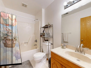 Bunny Hot Air Balloon shower curtain on a tub shower combo in an American family bathroom