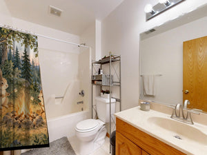 Campfire Friends Camping shower curtain on a tub shower combo in an American family bathroom