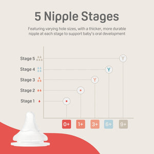 Silicone Nipple (L), 6+ Months