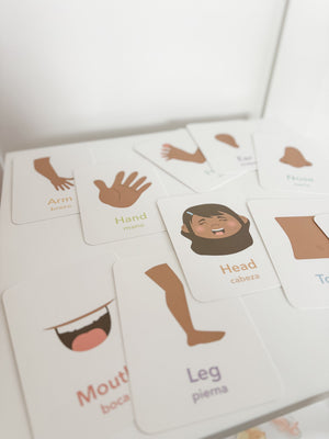 Body Parts Flashcards