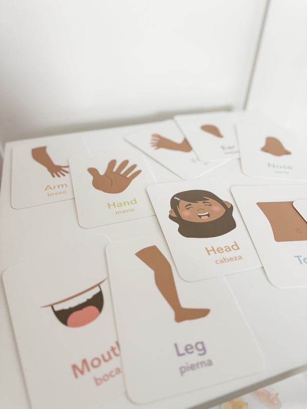 Body Parts Flashcards