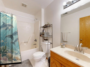 Dolphin Family Ocean shower curtain on a tub shower combo in an American family bathroom