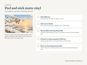 Watercolor Birds and Biplane Wall Mural, image 7