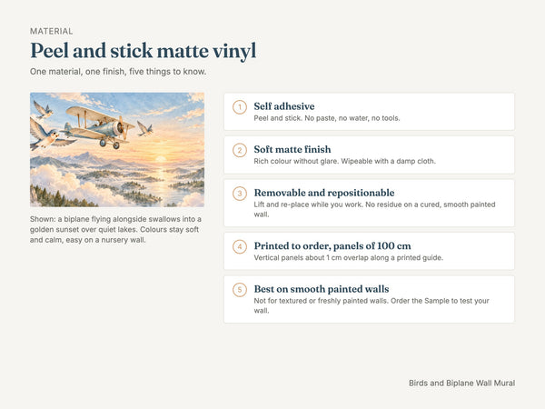 Watercolor Birds and Biplane Wall Mural, image 7