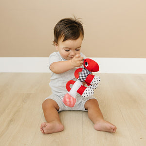 Caterpillar Teething and Sensory Toy in Black, White and Red, 9"