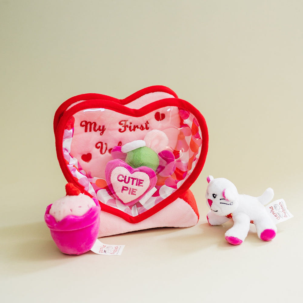 Valentine's Day Plush Fill & Spill Playset with 4 Mini Sensory Toys for babies: Cat, Heart, Flower, Cupcake.