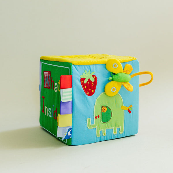 Baby Surprise Box What's Inside Box with Colorful Sensory Baby Toys