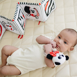Soft Cloth Book of Animals and Cars in High Contrast Black White Red