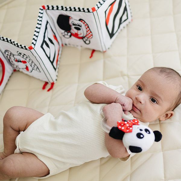 Soft Cloth Book of Animals and Cars in High Contrast Black White Red