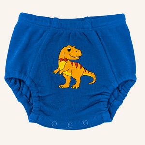 Day & Night Organic Training Underwear