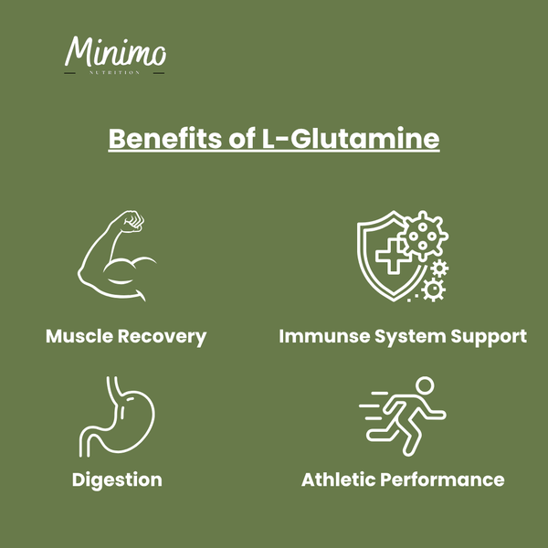 L-Glutamine Powder, 10.6 oz